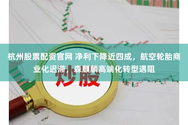 杭州股票配资官网 净利下降近四成,航空轮胎商业化迟滞,森麒麟高端化转型遇阻