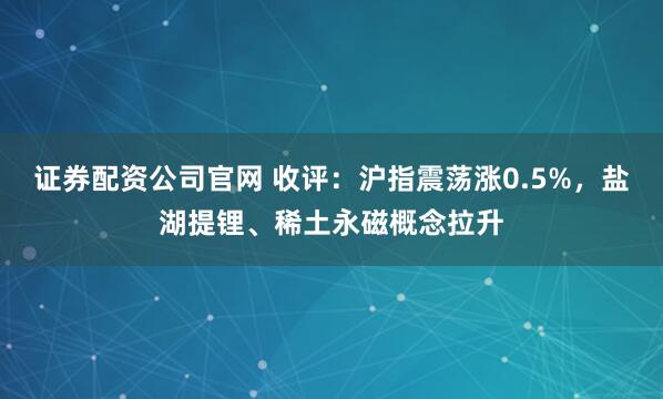 证券配资公司官网 收评：沪指震荡涨0.5%，盐湖提锂、稀土永磁概念拉升